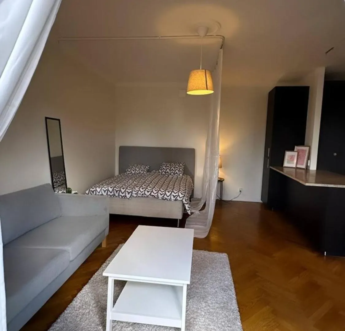 Cozy And Central Apartment Gotemburgo